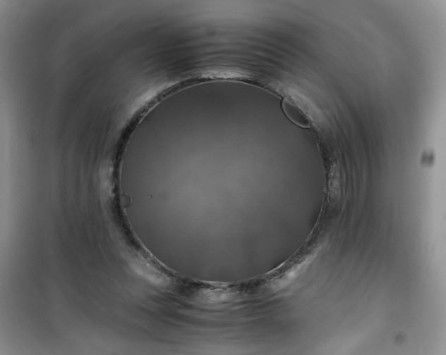 X0000100950351200807081223