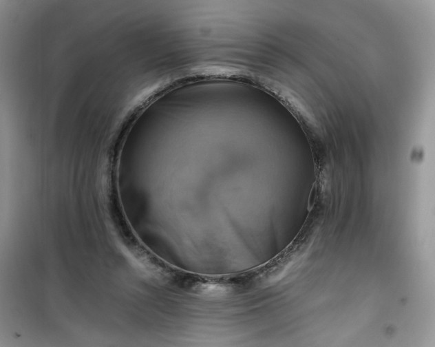 X0000100950352200807081223