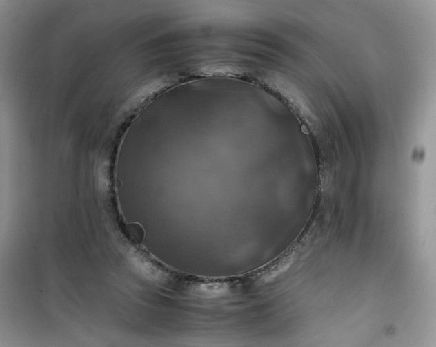 X0000100950353200807081223