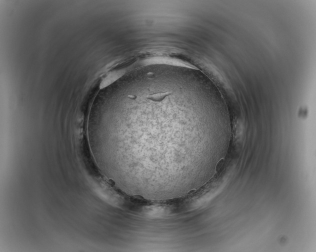 X0000100950356200807081223