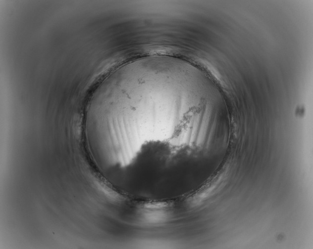 X0000100950357200807081223