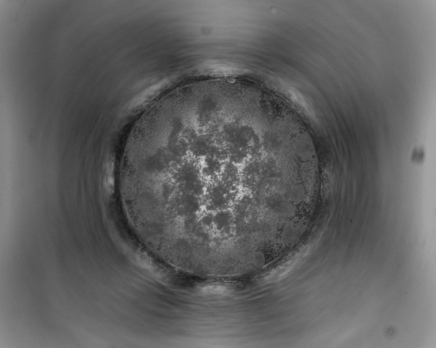 X0000100950358200807081223