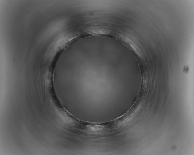 X0000100950359200807081223