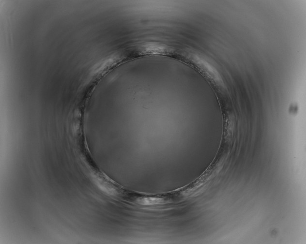 X0000100950361200807081223