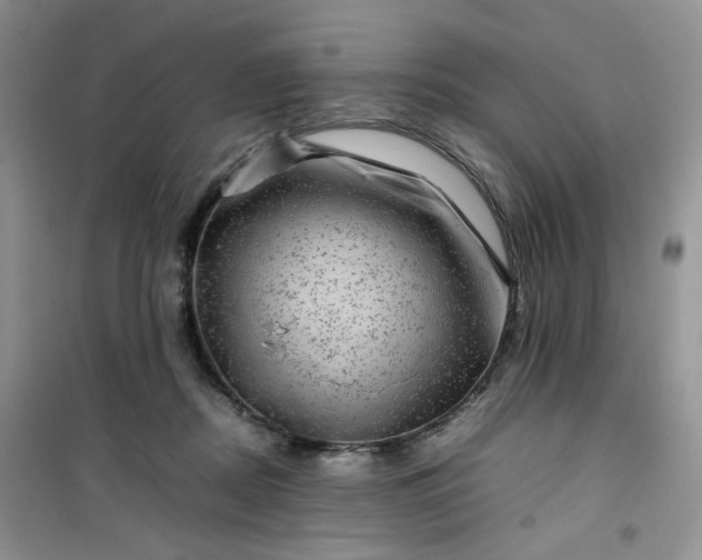 X0000100950362200807081224