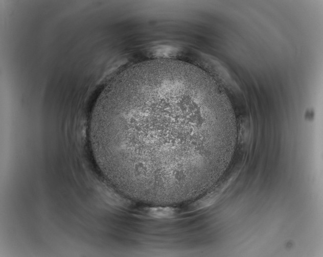 X0000100950363200807081224