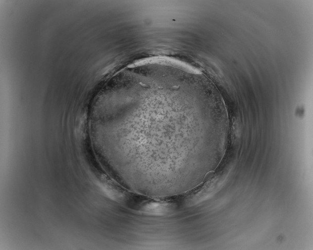 X0000100950364200807081224