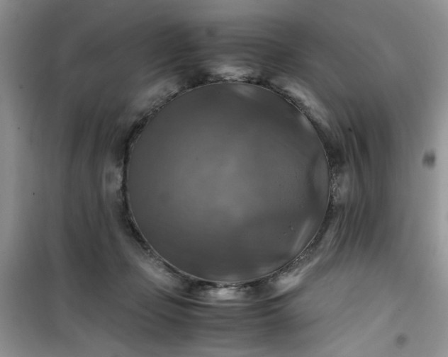 X0000100950365200807081224