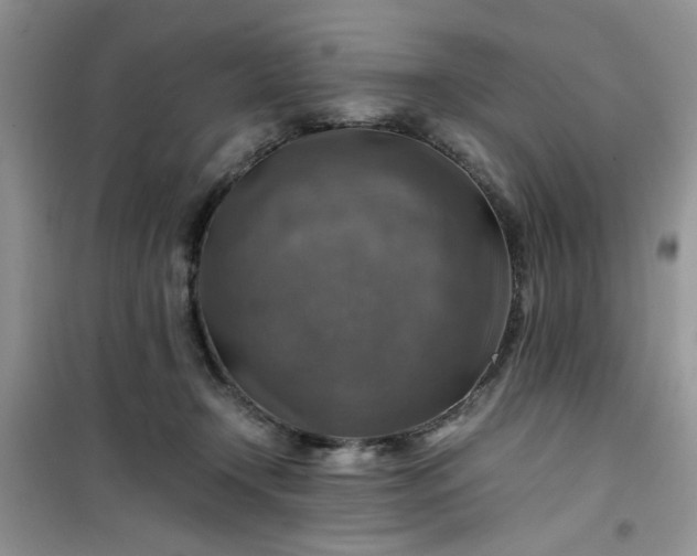 X0000100950366200807081224