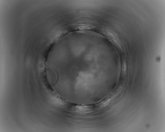 X0000100950367200807081224