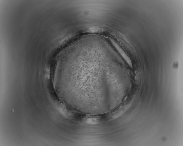 X0000100950368200807081224