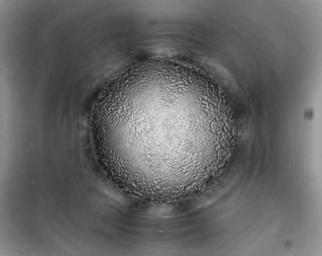 X0000100950369200807081224