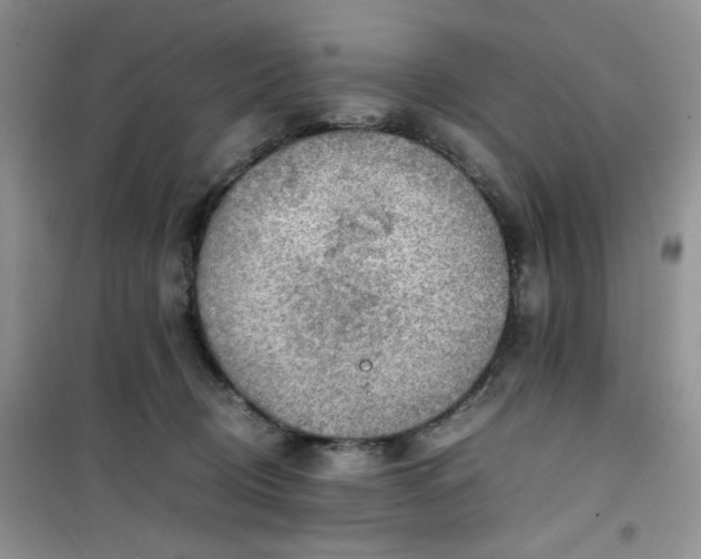 X0000100950370200807081224