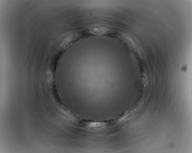 X0000100950371200807081224