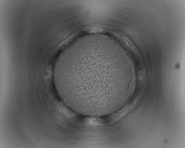 X0000100950372200807081224