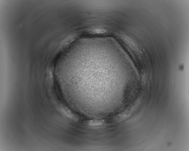 X0000100950373200807081224