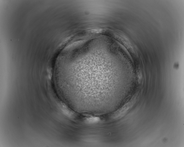 X0000100950374200807081224