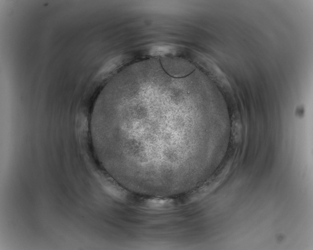 X0000100950375200807081224