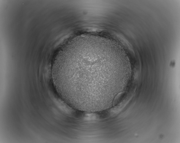 X0000100950376200807081224