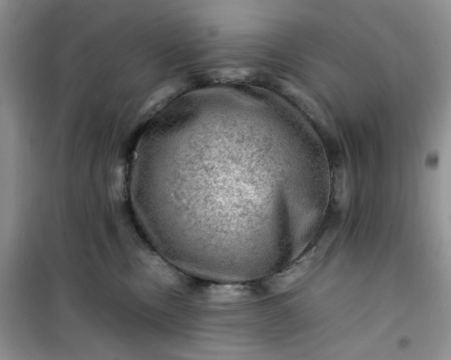 X0000100950378200807081224