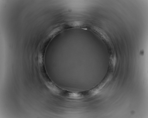 X0000100950380200807081224