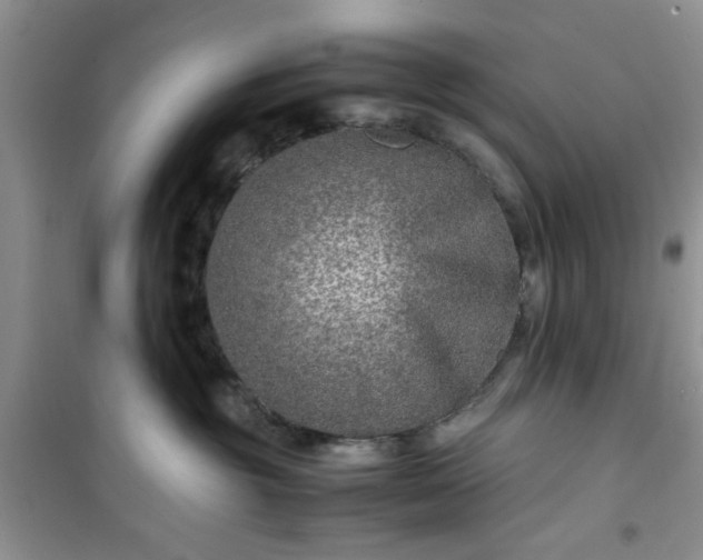 X0000100950381200807081224