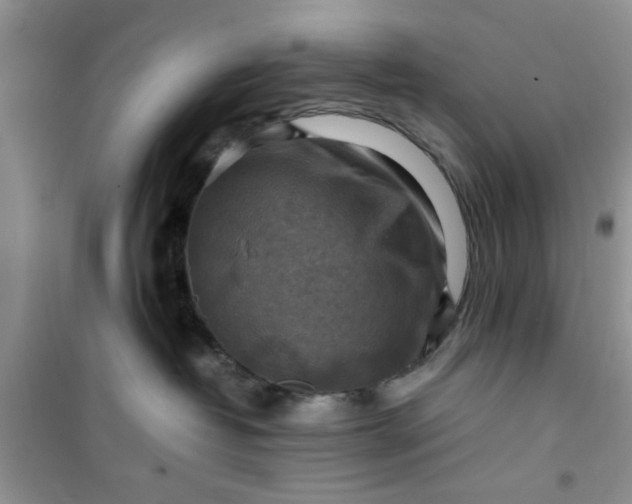 X0000100950382200807081224