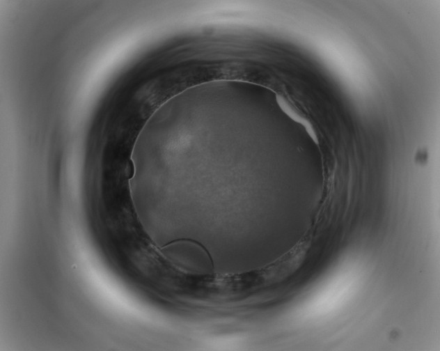 X0000100950383200807081224