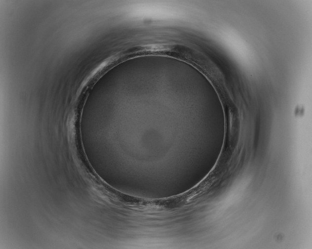 X0000100950387200807081223