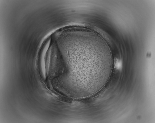 X0000100950388200807081223