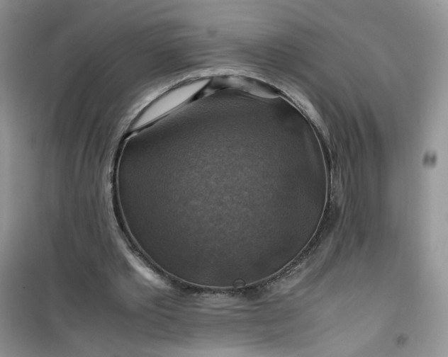 X0000100950389200807081223