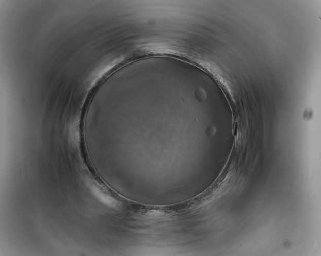 X0000100950390200807081223