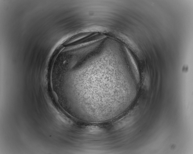 X0000100950392200807081223