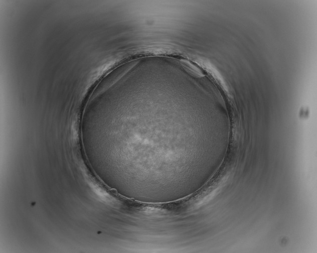 X0000100950393200807081223