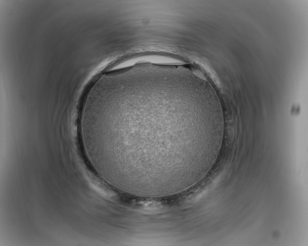 X0000100950395200807081223