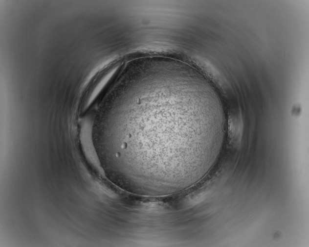 X0000100950396200807081223