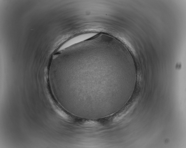 X0000100950397200807081223