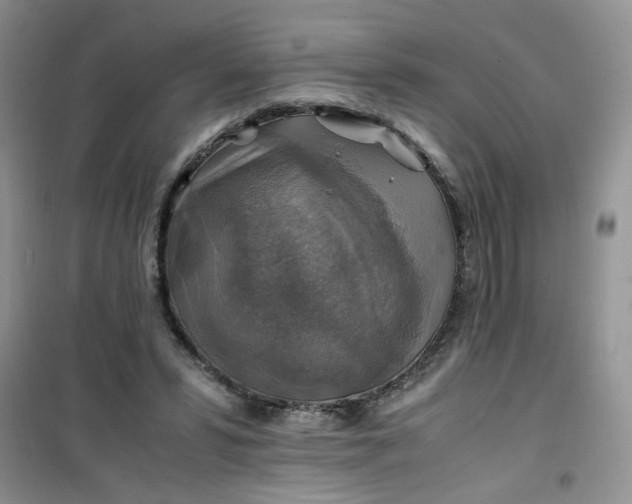 X0000100950399200807081223