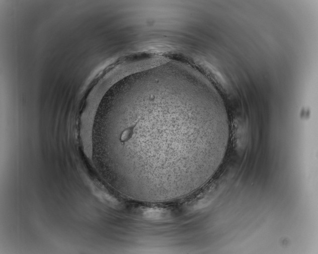 X0000100950400200807081223