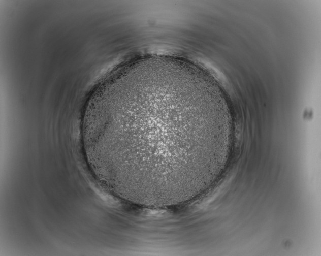 X0000100950401200807081223