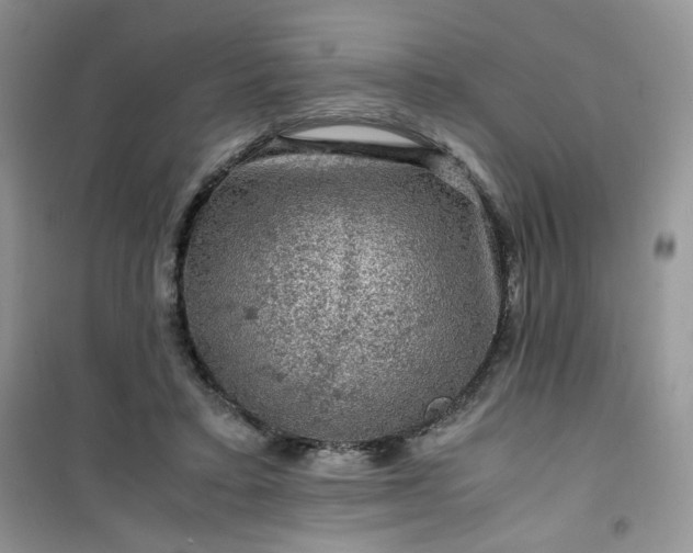 X0000100950403200807081223