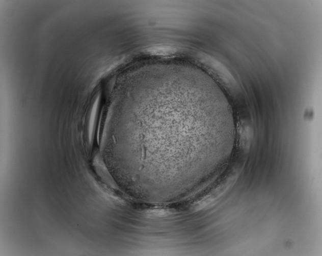 X0000100950404200807081223