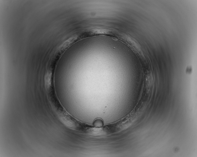 X0000100950406200807081223