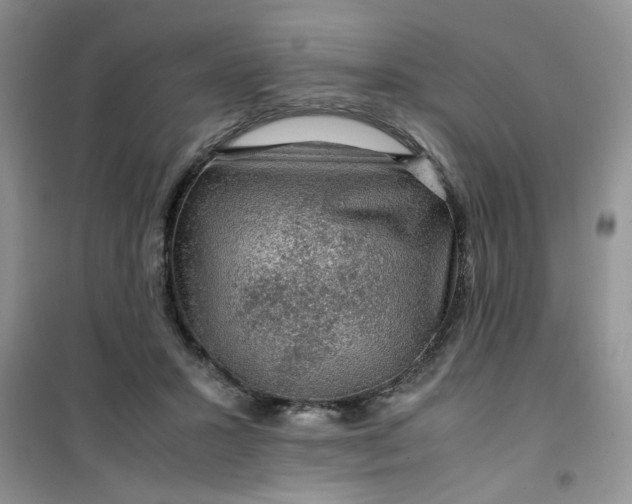 X0000100950407200807081223