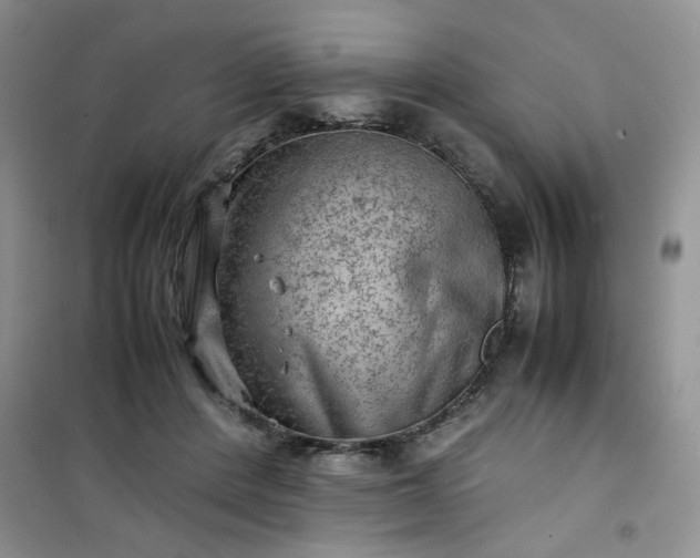 X0000100950408200807081223