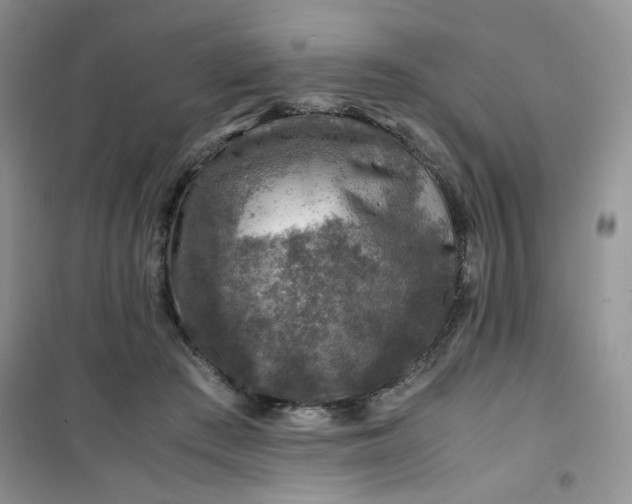 X0000100950409200807081223