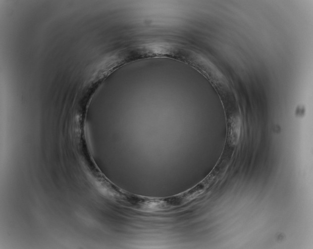 X0000100950410200807081223