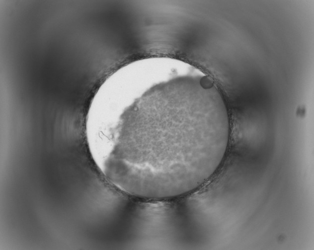 X0000100950411200807081223