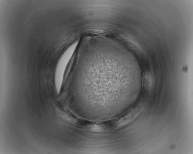 X0000100950412200807081223