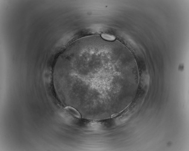 X0000100950413200807081223